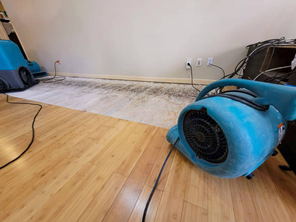 Professional Water Damage Repair technician working in Duncannon, PA